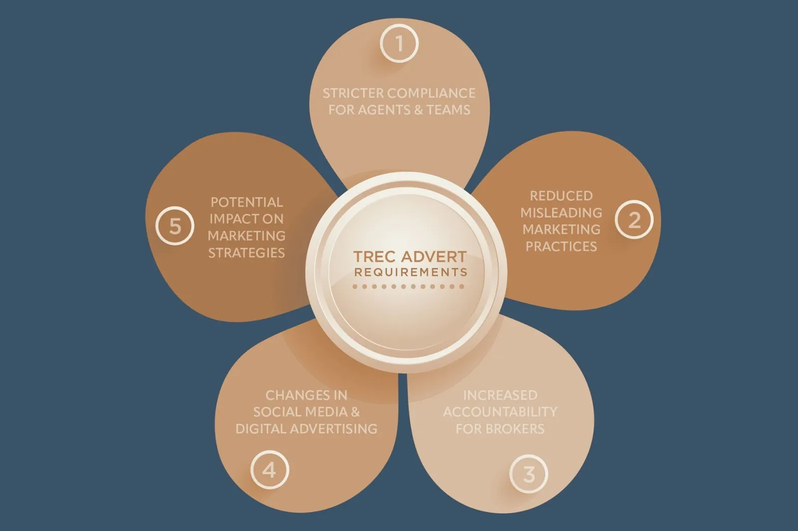 Flower-shaped infographic showing five TREC advertising requirements including broker accountability
